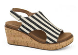 Black Stripe
